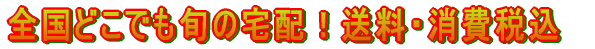 Sǂł{̑zIEō